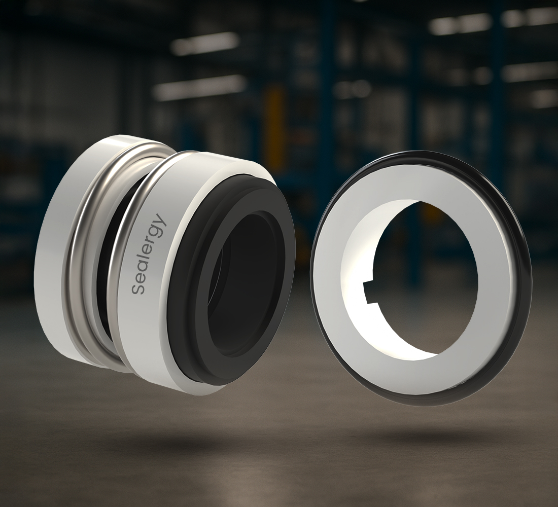 PTFE Seals