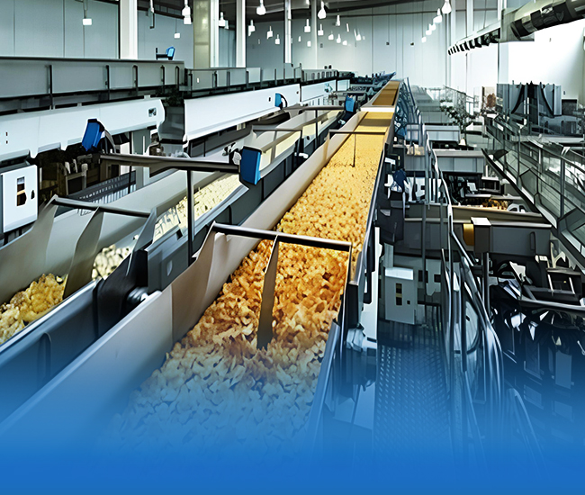 Food & Beverage mechanical seals and industrial applications